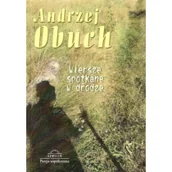 Poezja - Wiersze spotkane w drodze - miniaturka - grafika 1