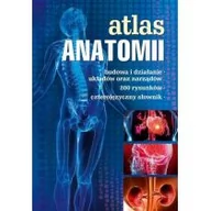 Książki medyczne - Atlas anatomii - miniaturka - grafika 1