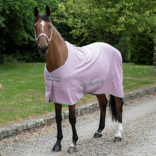 Bucas Derka letnia FREEDOM TWILL mauve - Derki dla konia - miniaturka - grafika 1