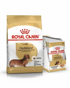 Royal Canin Dachshund Adult 7,5kg + Pojemnik na karmę Curver 10l 4kg 189370 - Mokra karma dla psów - miniaturka - grafika 1