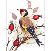 Pasmanteria - Haft krzyżykowy - Zestaw do haftu - Ptaki - Szczygieł - miniaturka - grafika 1