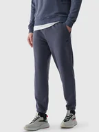 Spodnie sportowe męskie - 4F Spodnie dresowe w kolorze granatowym - miniaturka - grafika 1