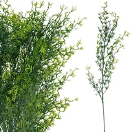 Sztuczne kwiaty - ASPARAGUS PIK 50cm GAŁĄZKA SZTUCZNA JAK ŻYWA WYPEŁNIACZ DO BUKIETÓW STROIK - miniaturka - grafika 1