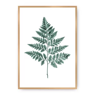 Dekoria Dekoria Plakat Fern Emerald Green 21 x 30 cm Ramka Złota 218A-000-00 - Plakaty - miniaturka - grafika 1