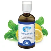 Suplementy naturalne - DR JACOBS Dr.Jacob's Lactacholin 100ml - miniaturka - grafika 1