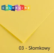 Szkolne artykuły papiernicze - Canson Karton rys. (C) 50x65 op.25 - słomkowy 03 - miniaturka - grafika 1