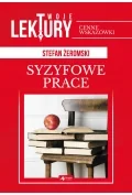 Lektury szkoła podstawowa - Syzyfowe prace. Twoje lektury - miniaturka - grafika 1