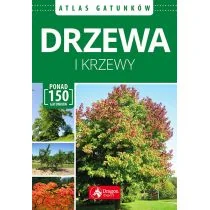 DRZEWA I KRZEWY ATLAS Opracowanie zbiorowe - Technika - miniaturka - grafika 1