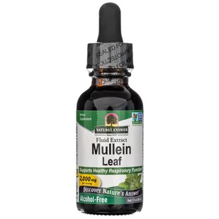 Nature's Answer, Liść Dziewanny, Płynny Ekstrakt, Bez Alkoholu, 30 Ml - Witaminy i minerały - miniaturka - grafika 1