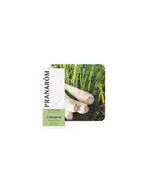 Aromaterapia - Olejek eteryczny ** Trawa cytrynowa / Palczatka cytrynowa / Cymbopogon citratus** 10ml*PRANARÔM* - miniaturka - grafika 1