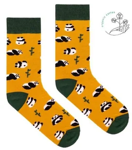Skarpetki z bawełny GOTS Pandy 42-46 - Skarpetki męskie - miniaturka - grafika 1
