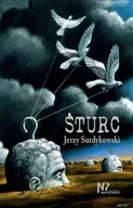 Powieści historyczne i biograficzne - Śturc - miniaturka - grafika 1