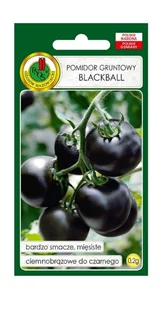 Pomidor gruntowy Blackball 0,2 g PNOS - Nasiona i cebule - miniaturka - grafika 1