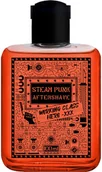 Wody po goleniu - Pan Drwal Steam Punk Working Class Hero Woda po goleniu 100ml - miniaturka - grafika 1