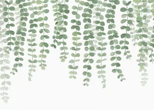 Wiszący bluszcz - fototapeta 320x230 cm - Fototapety - miniaturka - grafika 1