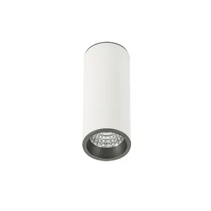 Italux Spot LAMPA sufitowa MOLDES SLC7391/7W 3000K WH+GR spot OPRAWA LED 7W metalowa TUBA plafon biały szary - Lampy sufitowe - miniaturka - grafika 1