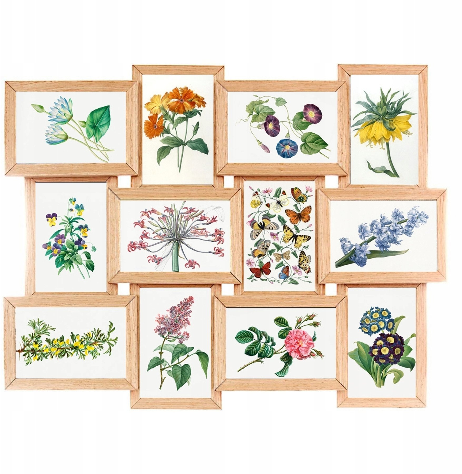 Ramka Edaxo Multiramka na 12 zdjęć FINES, 45 x 59 cm