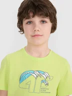 Koszulki dla chłopców - 4F T-shirt regular z nadrukiem chłopięcy - zielony 122 (6-7 lat) - miniaturka - grafika 1