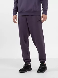 4F Spodnie dresowe w kolorze fioletowym - Spodnie sportowe męskie - miniaturka - grafika 1