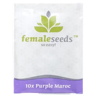 Nasiona konopi Female seeds - Purple Maroc (Fem.) 10szt. - Nasiona i cebule - miniaturka - grafika 1