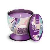 Świece - Pajoma Świeca zapachowa UNIQUE Sandelwood-Fig'', 240 g, świeca zapachowa premium o dużej zawartości zapachu, zamykana, czas palenia: 40 godzin - miniaturka - grafika 1