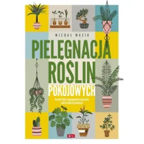 Dragon Pielęgnacja roślin pokojowych - Poradniki hobbystyczne - miniaturka - grafika 1