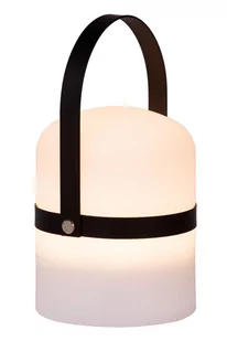 Lucide LITTLE JOE 06802/01/30 06802/01/30 - Lampy ogrodowe - miniaturka - grafika 1