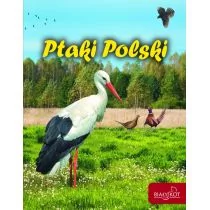 Biały Kot Ptaki Polski  - Praca zbiorowa - Przewodniki - miniaturka - grafika 1