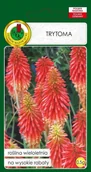Nasiona i cebule - Trytoma 0.5 g PNOS - miniaturka - grafika 1