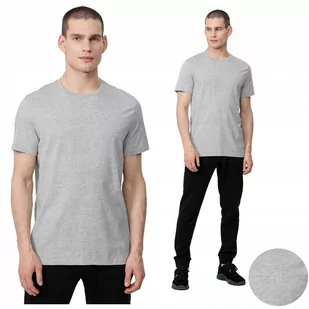 Koszulka Męska 4F Sportowa T-Shirt Bawełna Xl - Koszulki męskie - miniaturka - grafika 1