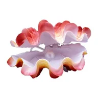 Dekoracje do akwarium - Penn Plax Małż olbrzymi - miniaturka - grafika 1