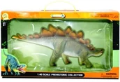 Figurki dla dzieci - Dinozaur Stegosaurus Deluxe Window Box - miniaturka - grafika 1