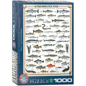 Puzzle - Eurographics Puzzle 1000 Freshwater Fish 6000-0312 - - miniaturka - grafika 1