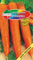 Nasiona i cebule - Marchew jadalna Flamanka 5 g SPÓJNIA - miniaturka - grafika 1