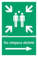 Systemy ekspozycyjne i znaki informacyjne - AC042 DO MIEJSCA ZBIÓRKI W PRAWO, TS - PŁYTA TD FOTOLUMINESCENCYJNA; (350X525MM) - miniaturka - grafika 1