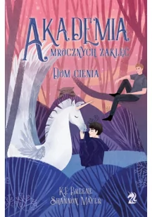 We Need YA Dom cienia. Akademia Mrocznych Zaklęć. Tom 2 - K.F. Breene, Shannon Mayer - Fantasy - miniaturka - grafika 2