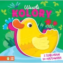 Zielona Sowa Wesołe kolory Ilona Brydak - Książki edukacyjne - miniaturka - grafika 1