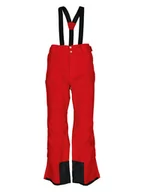 Spodnie narciarskie - Dare 2b Spodnie narciarskie "Achieve II" w kolorze czerwonym - miniaturka - grafika 1