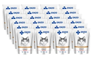 ENZO VET Urinary z wołowiną w galaretce dla kotów 24x100g - Mokra karma dla kotów - miniaturka - grafika 1