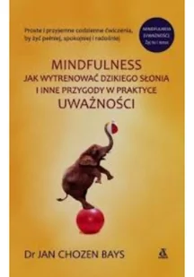 Mindfulness Jak wytrenować dzikiego słonia i inne przygody w praktyce uważności - Rozwój osobisty Mindfulness Jak wytrenować dzikiego słonia i inne przygody w praktyce uważności - Rozwój osobisty - miniaturka - grafika 2