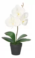 Sztuczne kwiaty - Storczyk Orchidea Sztuczne Kwiaty W Doniczce - miniaturka - grafika 1