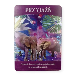 Wyrocznia boskiej obfitości, Tosha Silver (wydanie kieszonkowe) - Wróżbiarstwo i radiestezja - miniaturka - grafika 8
