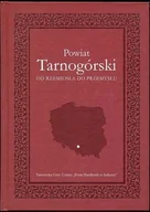 Historia świata - Powiat tarnogórski. Od rzemiosła do przemysłu - miniaturka - grafika 1