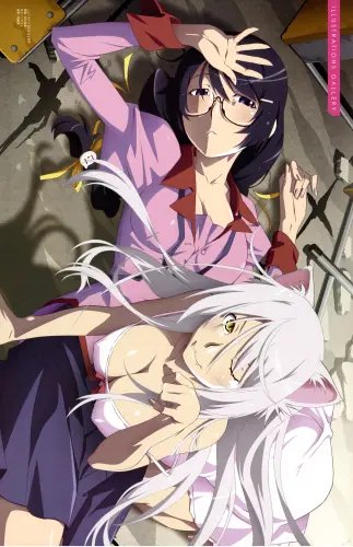 Plakat Anime Bakemonogatari bm_048 A1+ (custom)
