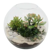 Dekoracje domu - Las w słoiku grubosz mix - miniaturka - grafika 1