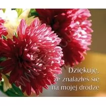 Edycja Świętego Pawła praca zbiorowa Perełka 182. Dziękuję, że znalazłeś się na mojej drodze - Aforyzmy i sentencje - miniaturka - grafika 1