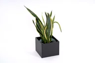 Donice - Donica Metalowa Rodos Na Parapet 25 Cm, Czarna - miniaturka - grafika 1