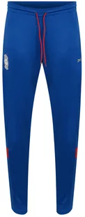 REEBOK - SPODNIE DRESOWE - CL SOCCER PANT HG3954-L - Spodnie męskie - miniaturka - grafika 1