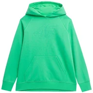 Bluzy damskie - Bluza damska 4F zielona 4FSS23TSWSF535 41S L - miniaturka - grafika 1