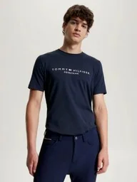 Tommy Hilfiger Equestrian Koszulka męska WILLIAMSBURG GRAPHIK - desert sky - Koszulki jeździeckie - miniaturka - grafika 1